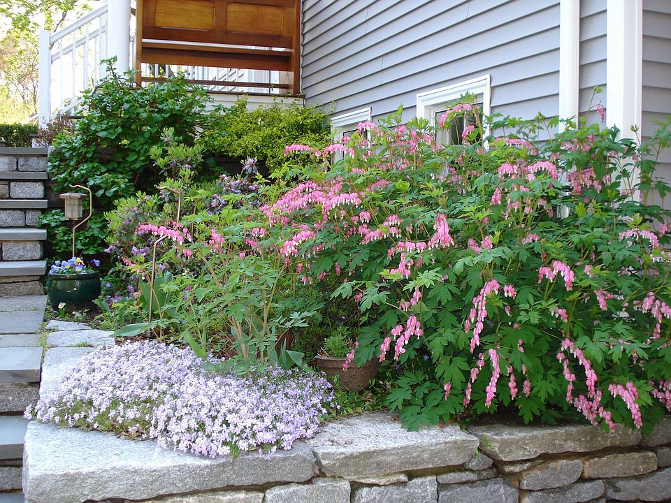 Flowers by front steps
