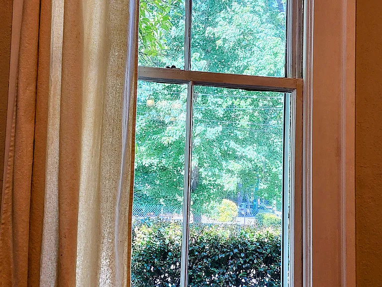 Tree views from 7-foot windows
