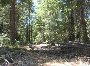 46 Ringtail Rd, Georgetown, CA 95634