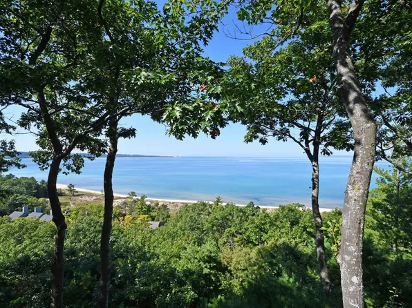 7 Loggers Run, Glen Arbor, MI 49636