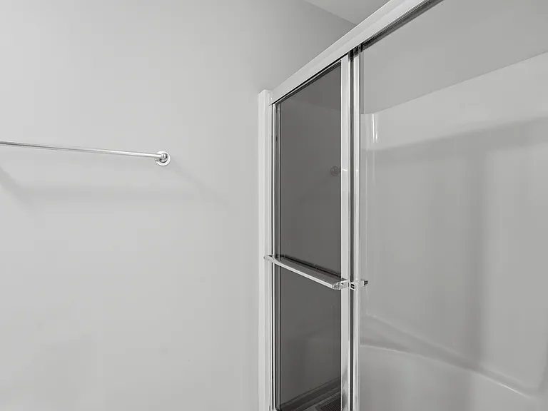 Master Bath Shower
