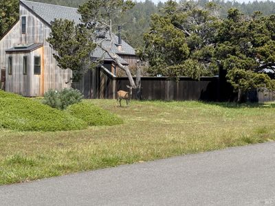 39462 Leeward Road, The Sea Ranch, CA, 95497