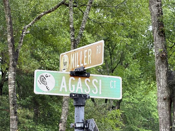 4th image of Agassi Ct