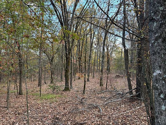 2nd image of 195379 N 4380th Rd