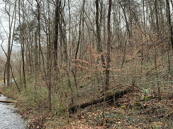 4th image of Mill Creek Run Ln