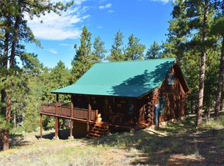 89 Pawnee Trl, Silver Cliff, CO 81252