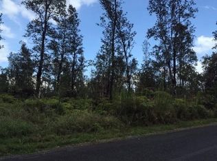 11 3522nd #7698, Mountain View, HI 96771