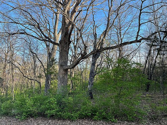 4th image of 600 Fallen Cedar Ct Lot 11A
