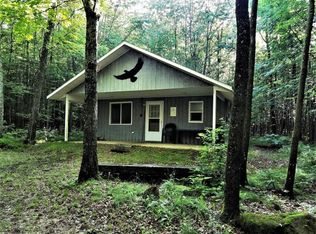 W10562 Bass Lake Dr, Park Falls, WI 54552