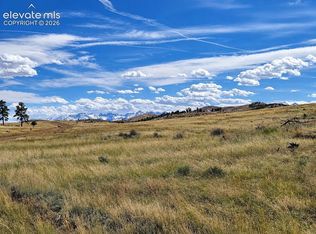 85 Pine Valley Rd, Cotopaxi, CO 81223