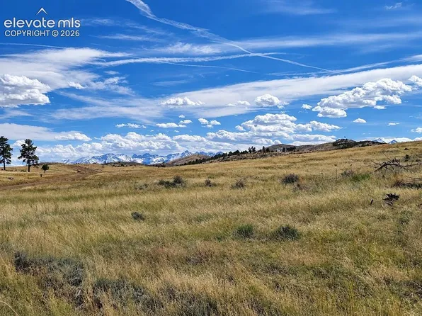 85 Pine Valley Rd, Cotopaxi, CO 81223