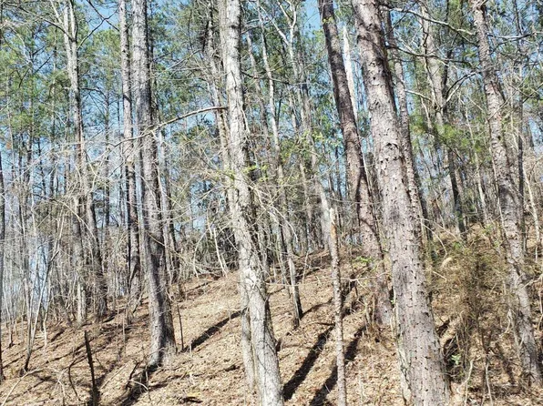 County Road 520, Verbena, AL 36091