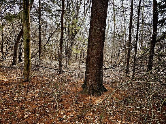 4th image of Lts 6-9 ARBUTUS ROAD