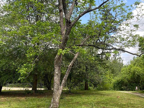 2nd image of 8456 McGallion Rd