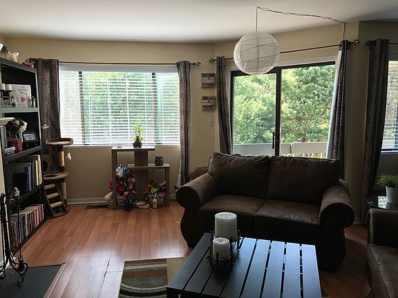 Living Room w/ large windows