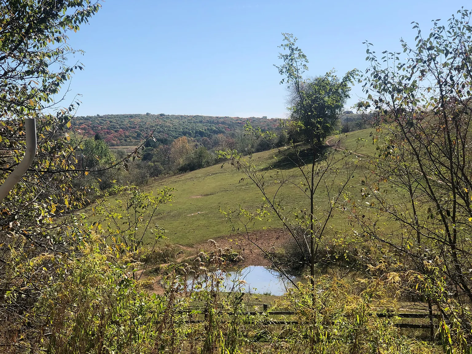 4273 Sand Flat Rd photo 1