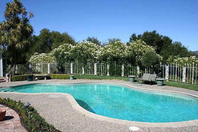 Private Dolphin Pool