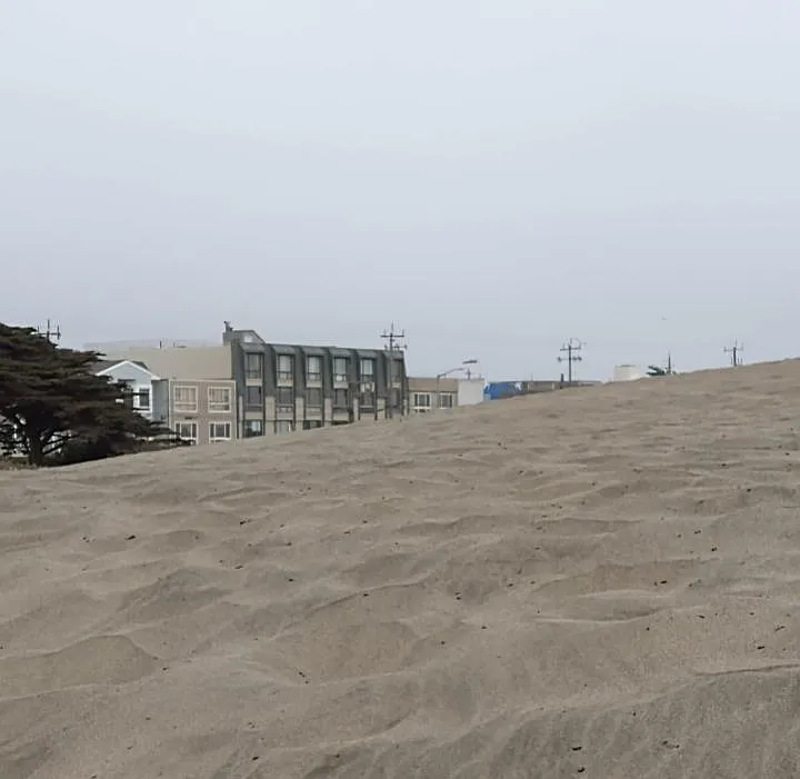 Building Photo - 1464 La Playa St #0