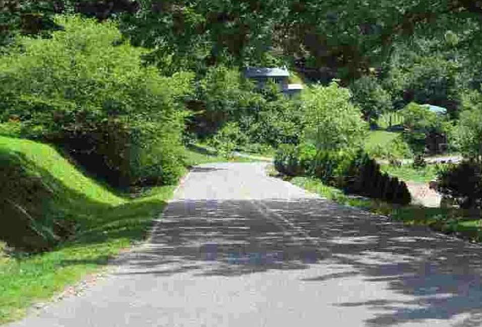 Exterior Neighborhood (street photo)