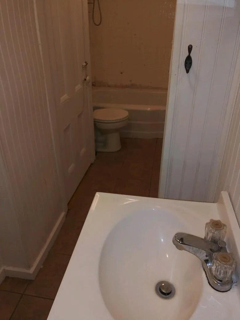 19 Whitmore St — Photo 3
