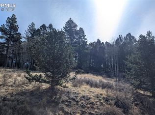 136 Valley Rd, Divide, CO 80814