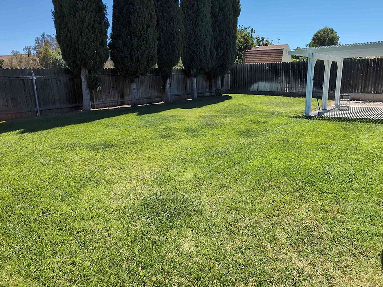 3759 Casheen Dr — Photo 14