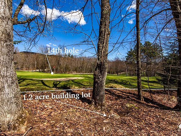 5th image of 0 Whiteface Inn Ln