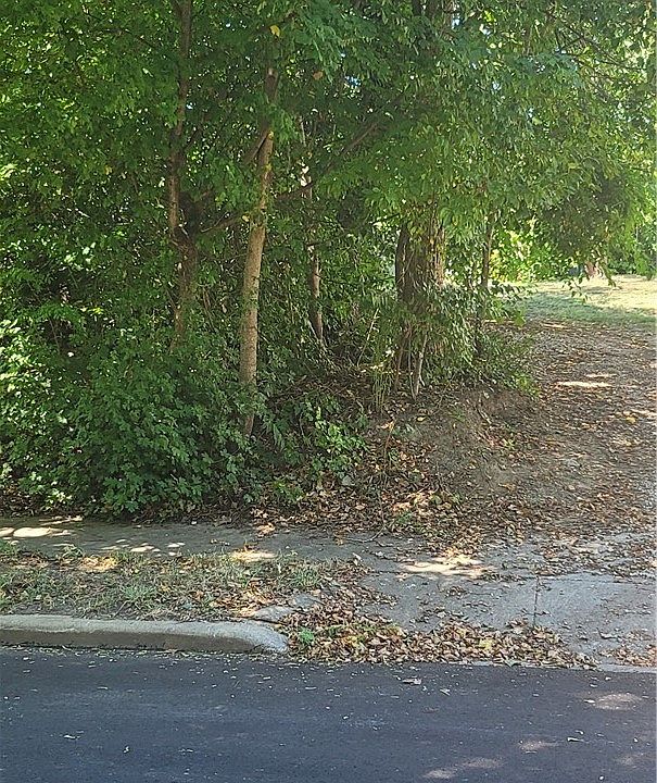 1st image of Kline Ave