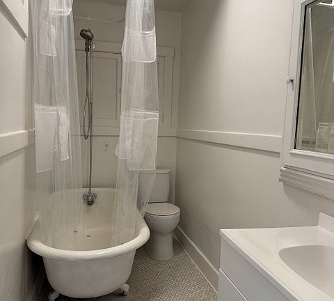 Full size bathroom with shower over clawfoot tub and toilet, plus sink, mirror cabinet and bathroom storage