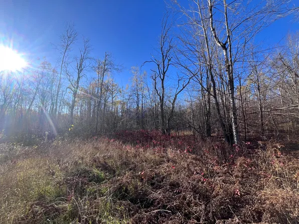 34 Misty Ct, Mancelona, MI 49659