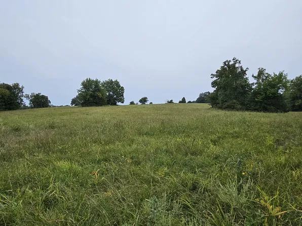 Lot 11 E 420th Road Lot 11, Bolivar, MO 65613