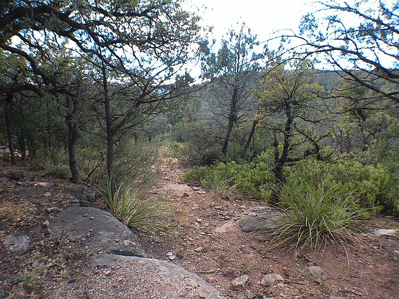 4th image of LOT 14 N Vista Way
