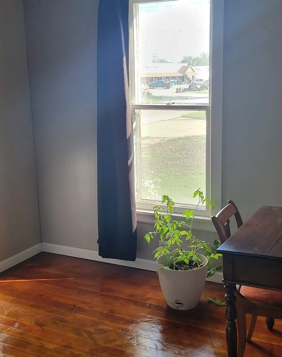 3 bed, 1.5 bath, 1260 sqft, $1,250 — Photo 3