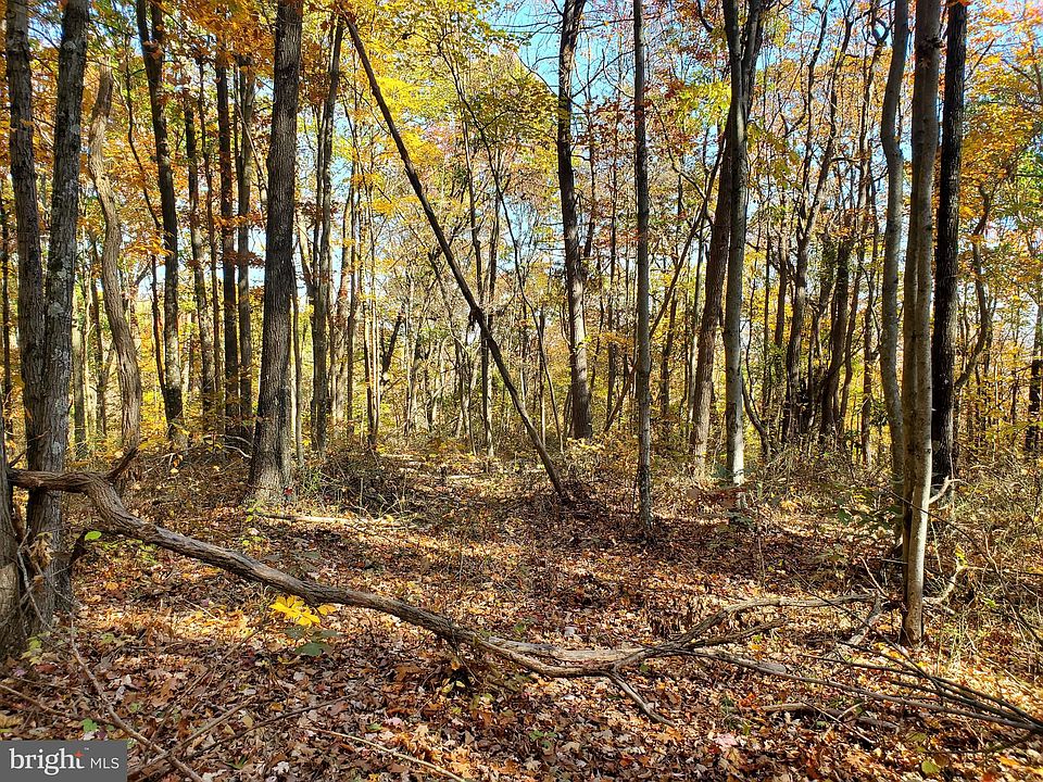 2nd image of Oldtown Orleans Rd