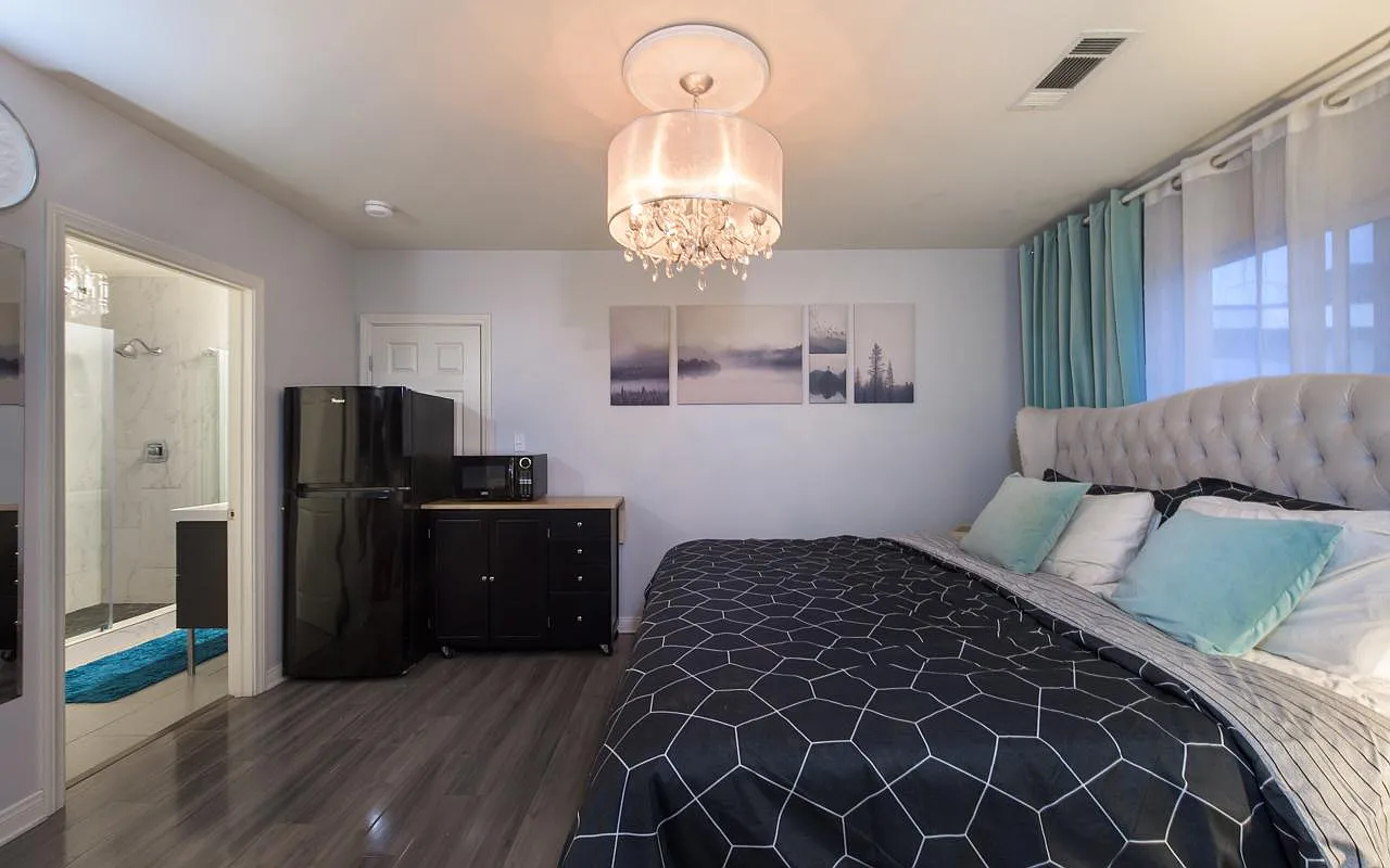 Studio, 250 sqft, $1,995 — Photo 3