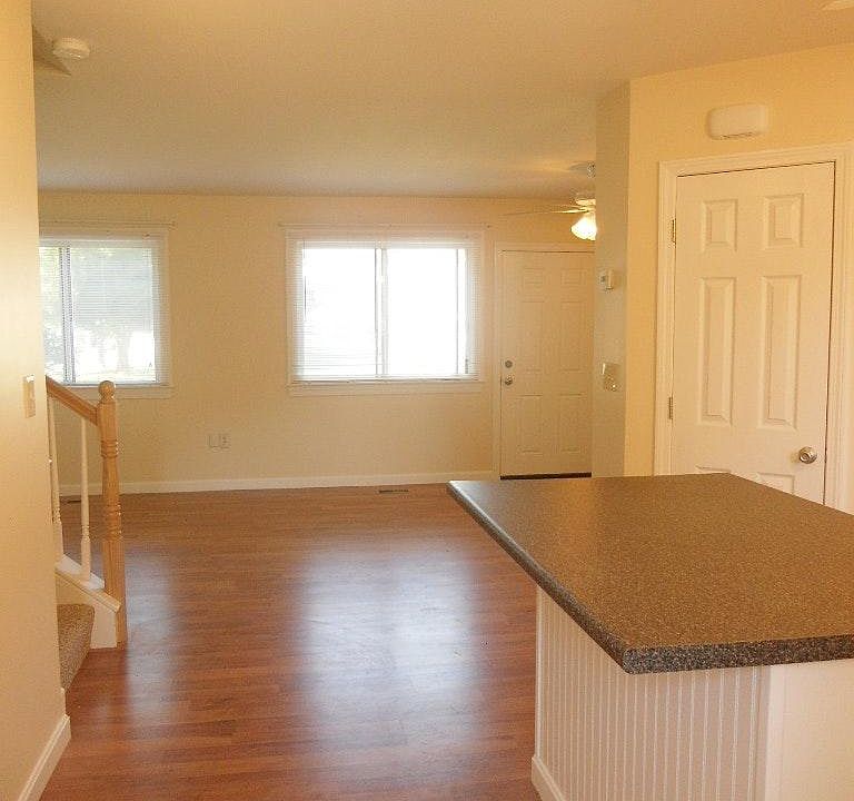 Kitchen and Living room