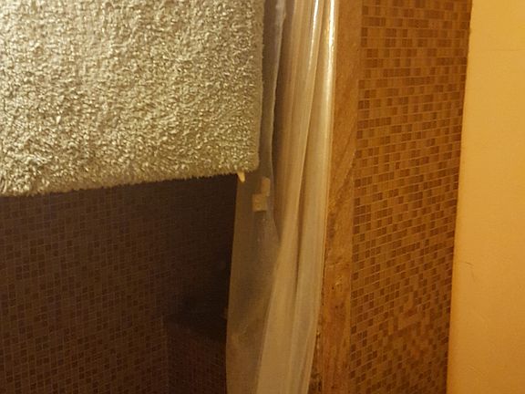Downstairs Bathroom