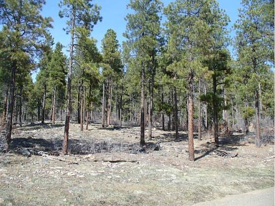 1st image of 540 Starling Cir