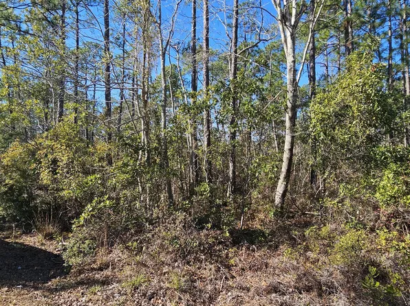 Lot 2 Maple Road, Boiling Spring Lakes, NC 28461