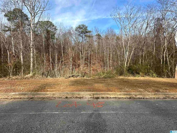 5100 Janet Ln Lot 45, Irondale, AL 35210