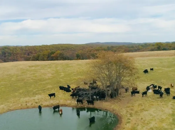 000 County Road 194, Dora, MO 65637