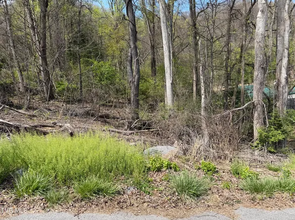 513 San Antonio Dr, Bristol, TN 37620