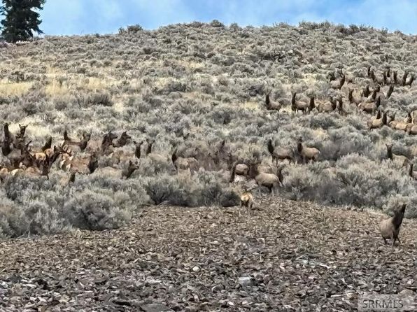 Agency Creek Rd, Tendoy, ID 83468