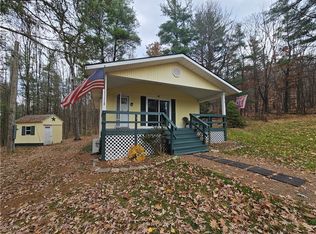 7242 Velie Rd, Savona, NY 14879