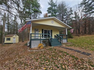 7242 Velie Rd, Savona, NY, 14879