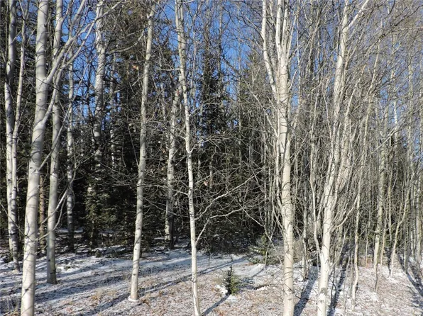 853 Pronghorn, Como, CO 80456