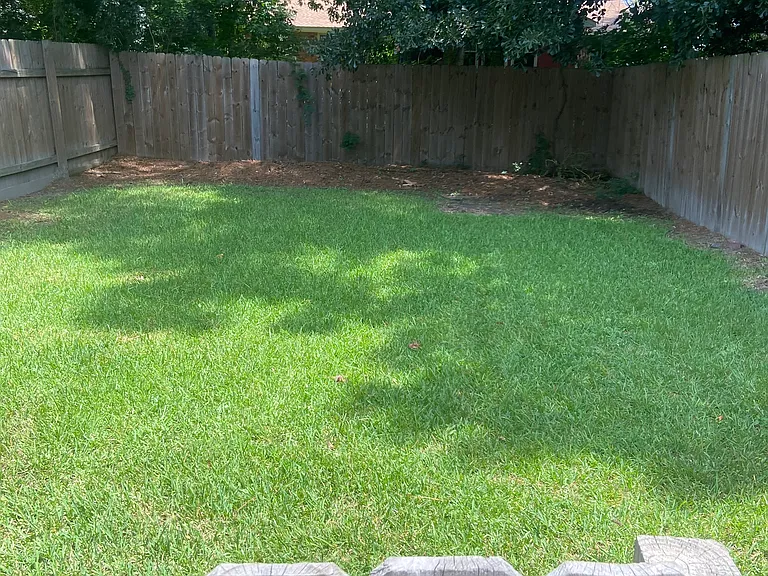 Completely fenced backyard