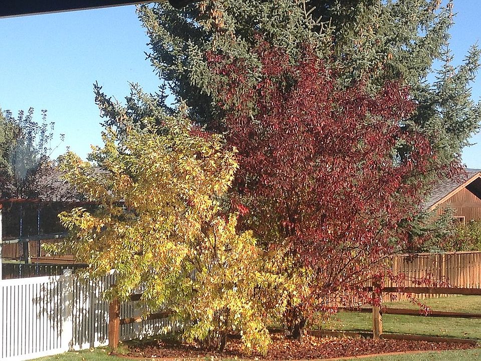 2nd image of 7 Redwood Dr