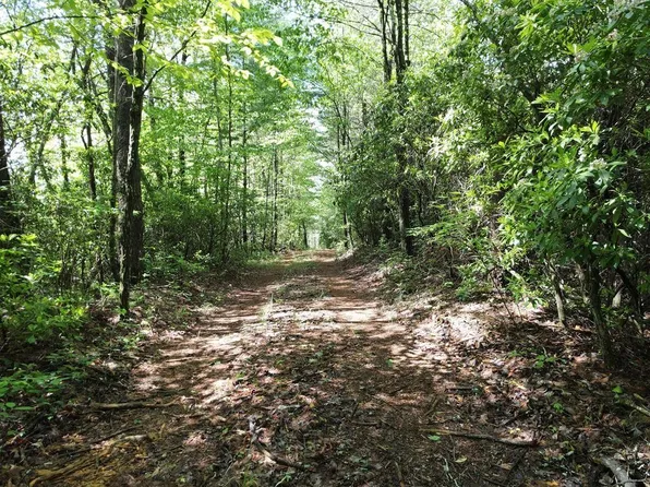 Ralston Creek Trl, Ellijay, GA 30536
