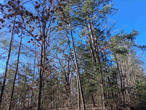 4th image of County Road 1581